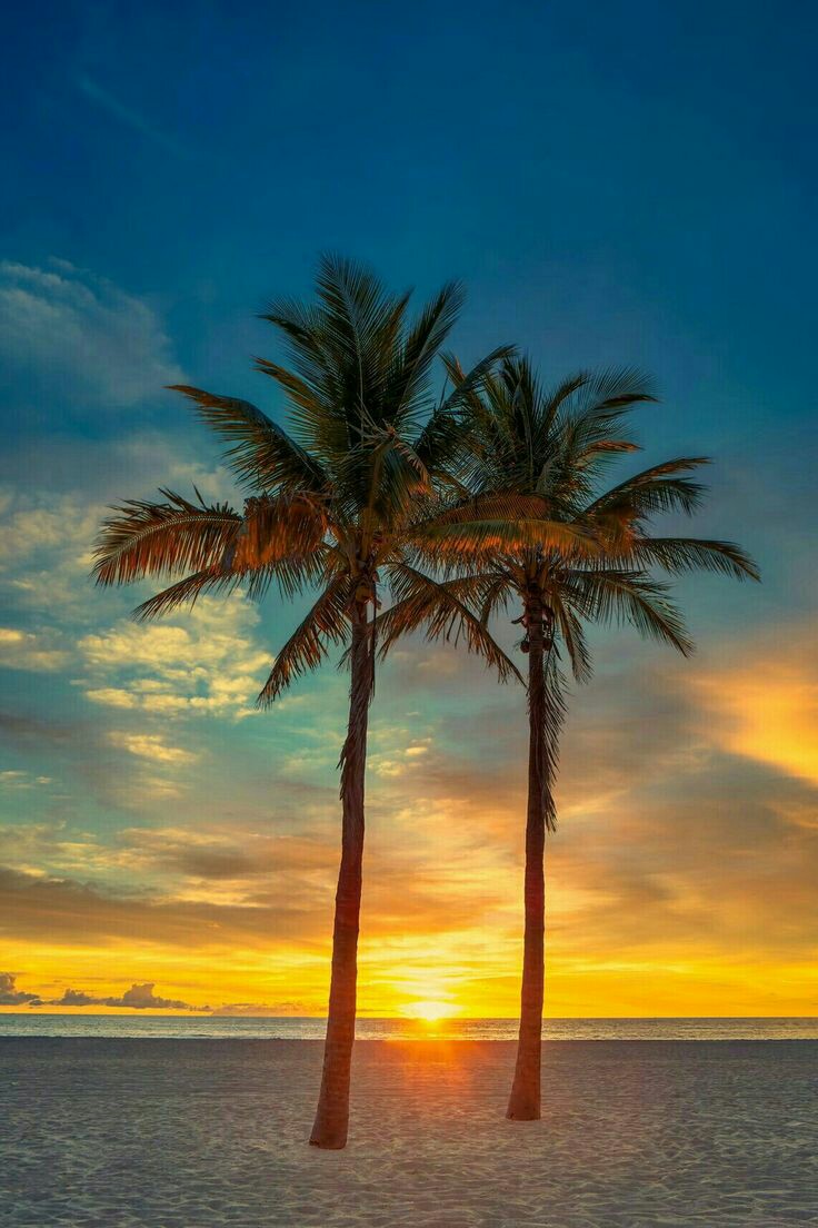 Beautiful evening 🧡🌅💫
#NaturePhotography #naturelovers #naturelovers #sunset