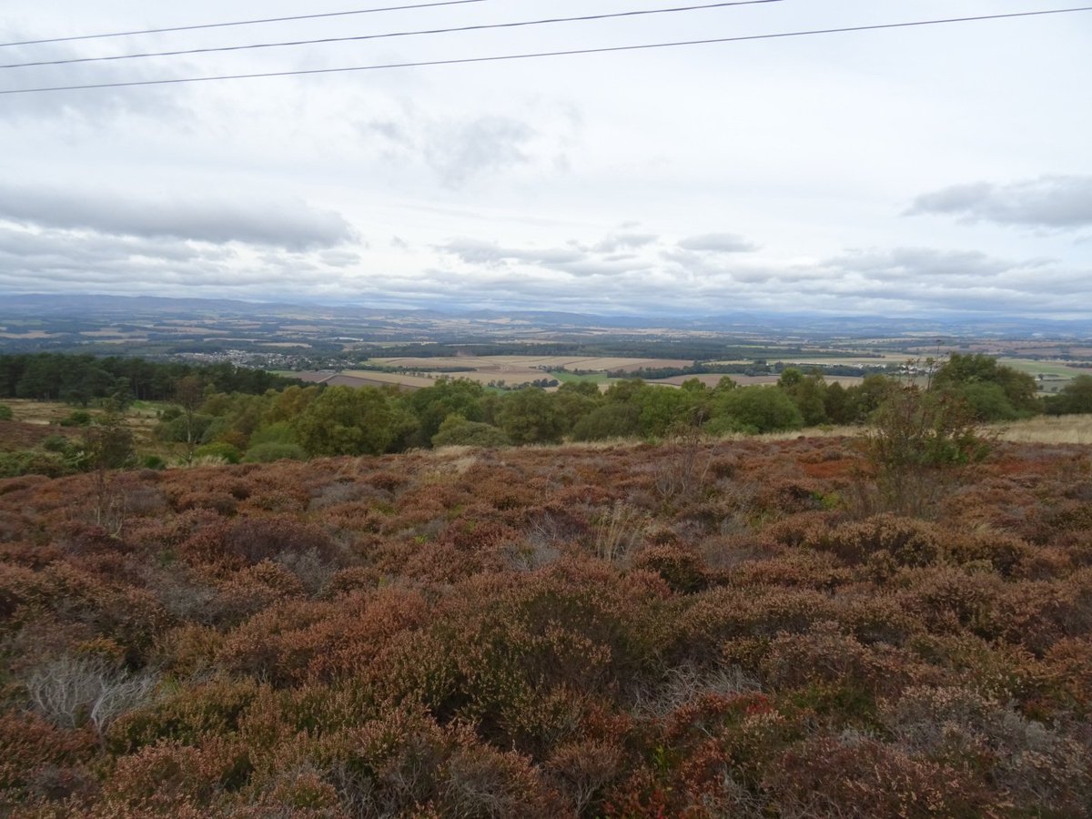 ZooStephen's tweet image. A walk from Kinnoull Hill @PKCTrust @PerthandKinross across Deuchny Hill and to the Lynedoch Obelisk - commemorating Thomas Graham d.1843 (buried in Methven) was local land owner (Balgowan), MP &amp;amp; war general with Wellington. 
Good views even though cloudy.
@VisitScotland 🏴󠁧󠁢󠁳󠁣󠁴󠁿🌥