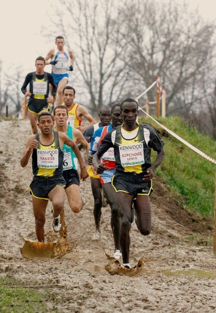 Congratulations to the greatest. There is no success without struggle. All great running endeavors can benefit from #crosscountry. #kipchoge #worldrecord @NNRunningTeam @EliudKipchoge