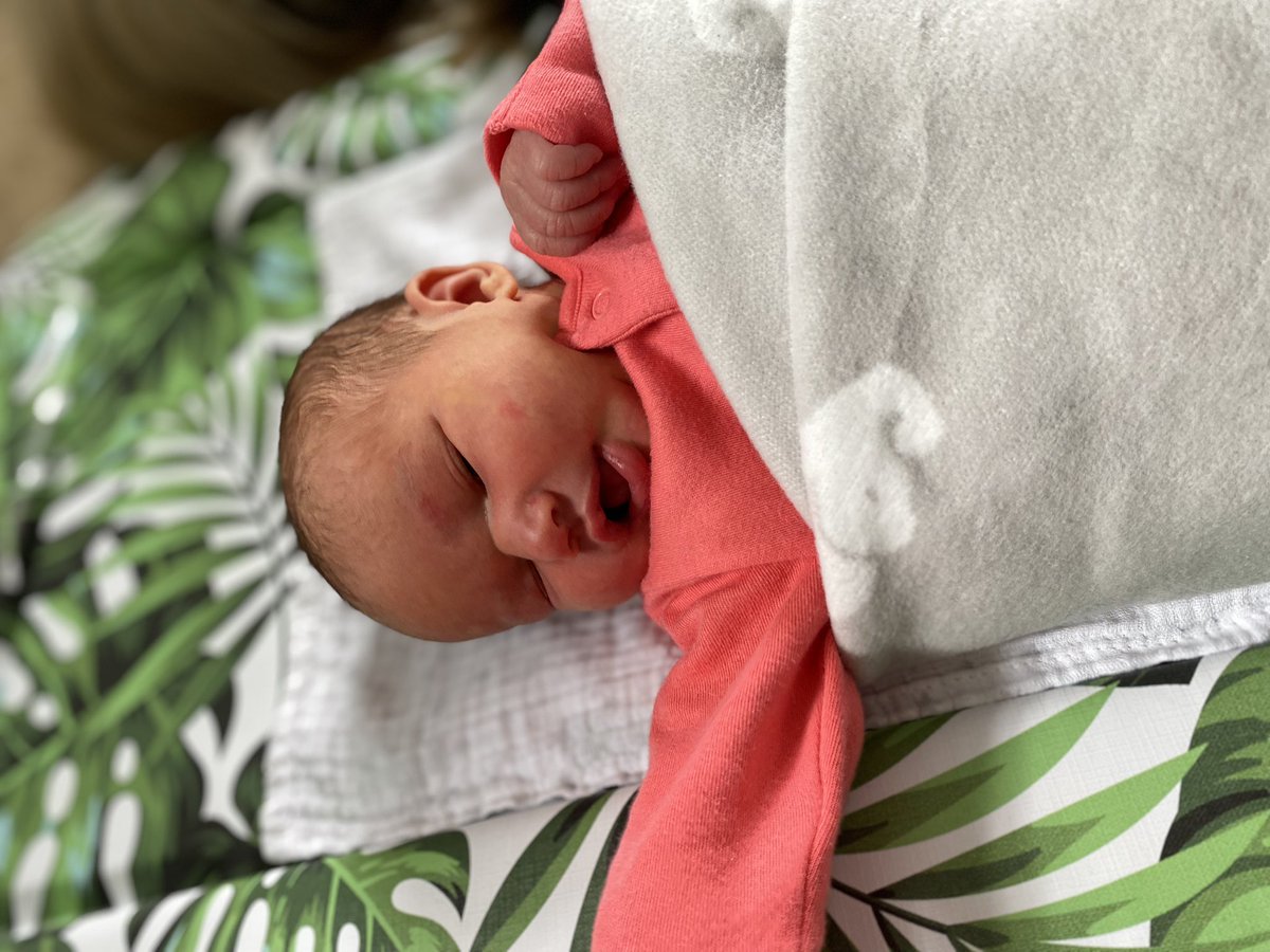 Jake Wilkins tweet media