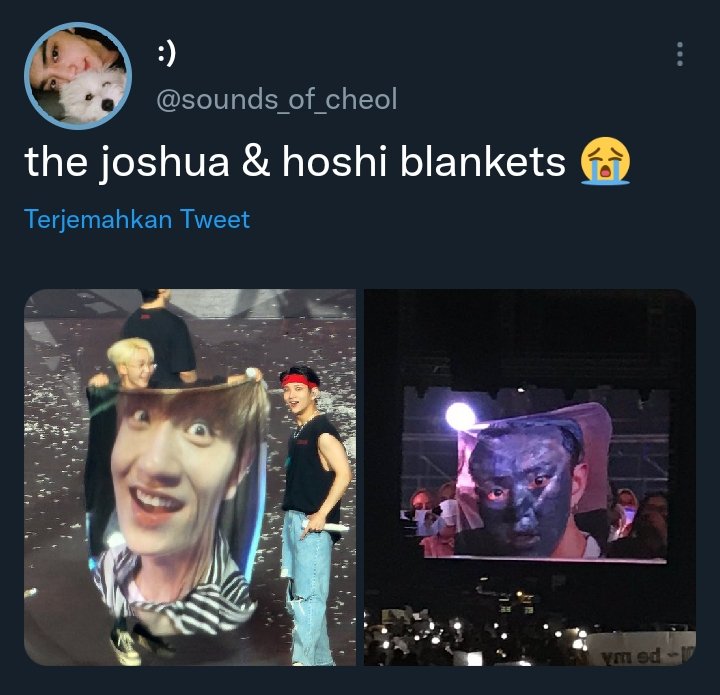 -idol ada apa dengan carat, kalian kenapa lawak banget 😭
