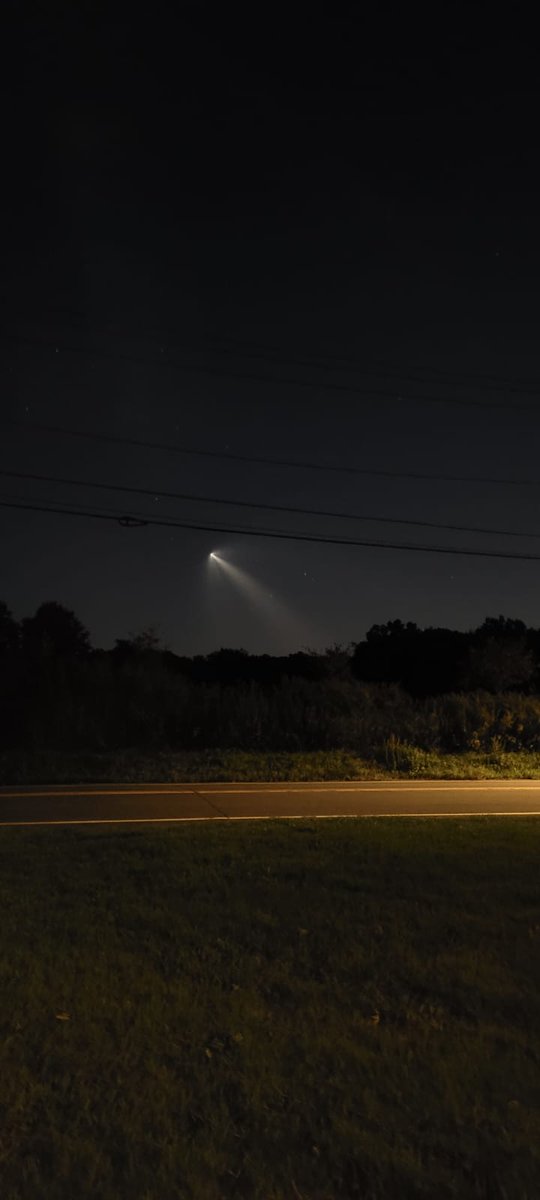 Diana Martínez-Saucedo tweet media