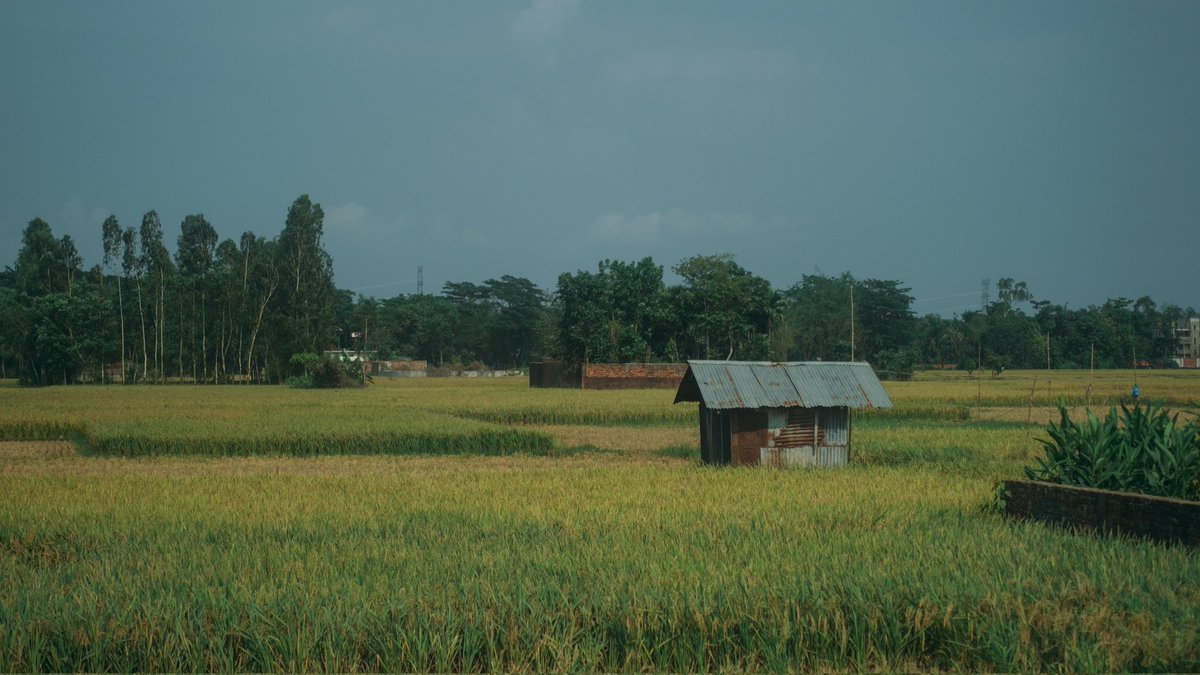 👉 “Rural Bangladesh”

👉 Current bid - 0.75 ETH

👉 Check out this NFT by @mshahphoto on <a href="/foundation/">Foundation 🌐</a>! 🌐

foundation.app/@mahmudshah/st… 

#NFT #NFTArt #NFTCommunity