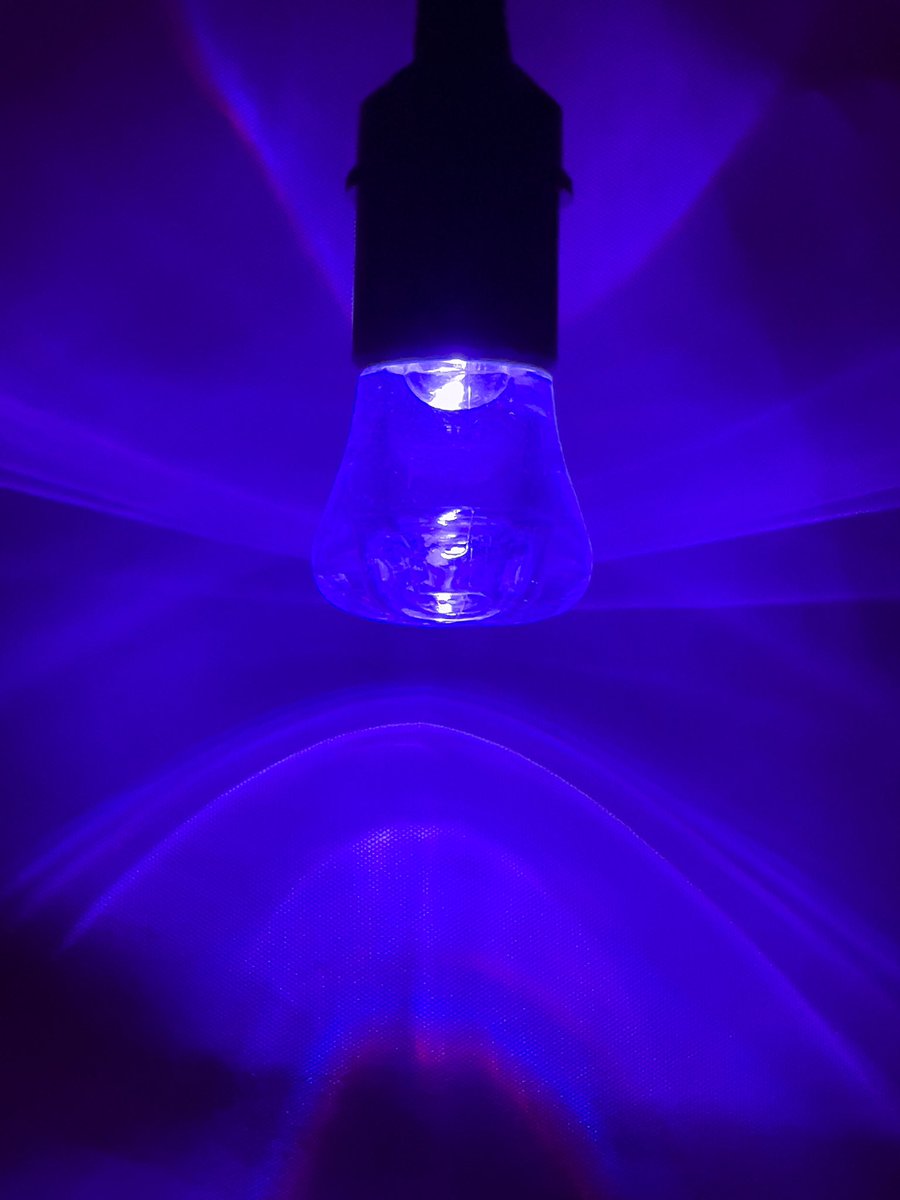 RichChapman's tweet image. Deck Life…   
Blue light. #decklights #bluedecklight