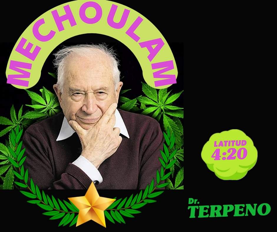 DoctorTerpeno's tweet photo. Personajes del cannabis
Raphael Mechuolam 
Químico Judío,  es considerado el padre de la investigación del Cannabis, actualmente tiene 92 años, nació en Sofia - Bulgaria en 1930, de donde su familia fue expulsada por las leyes antisemitas de la época. Sigue el hilo https://t.co/7WXm5ExHi1
