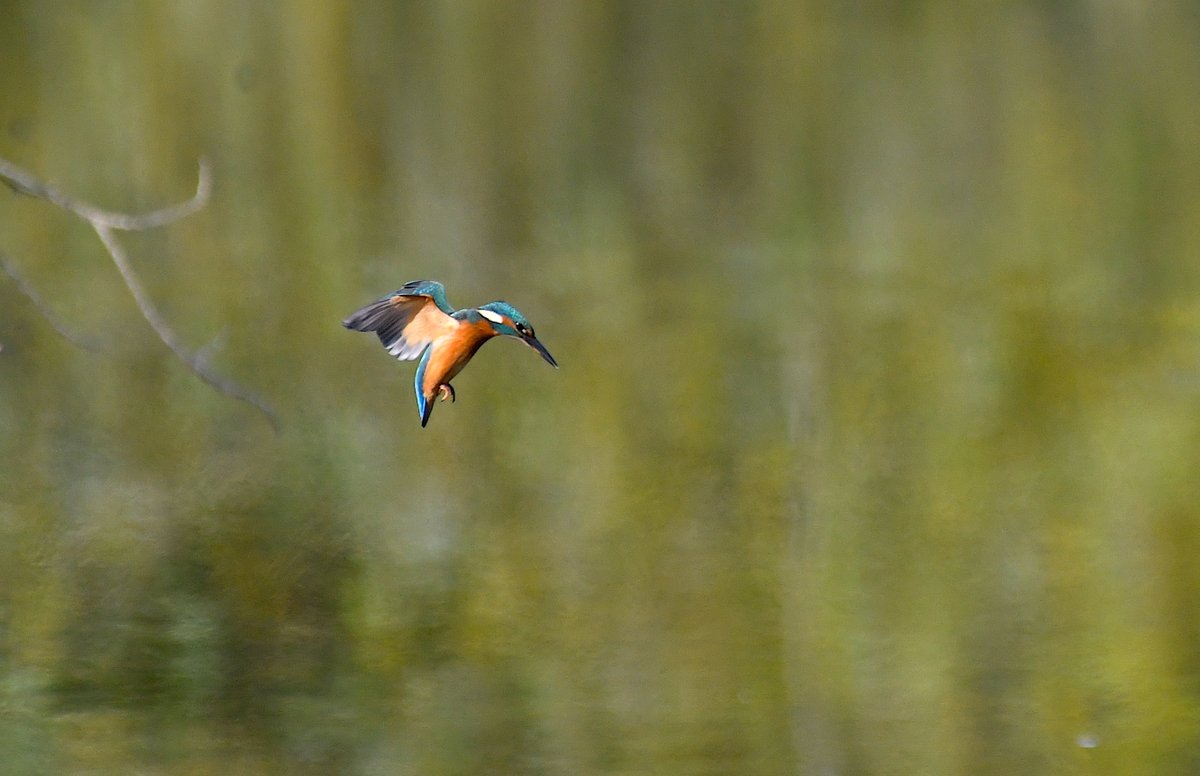 stewart easterbrook tweet media