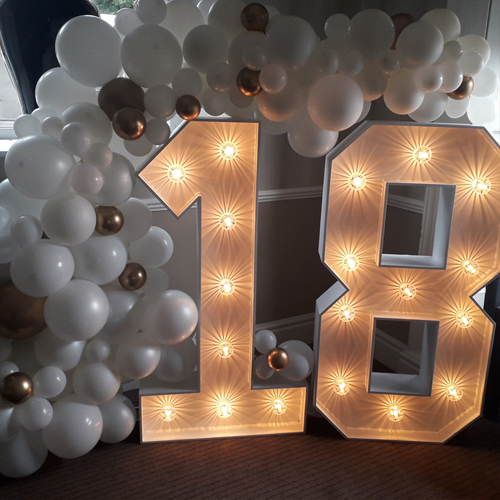 ClaireElse4's tweet photo. @occasionshubltd Celebrate in style with our 4ft Light Up Letters &amp; Organic Demi Arch can be for any age arch any colour scheme or celebration eg anniversary https://t.co/5dan1UI5dZ #lightupnumbers #lightupquestionmark #lightupgenderreveal https://t.co/RSSF4imzR2