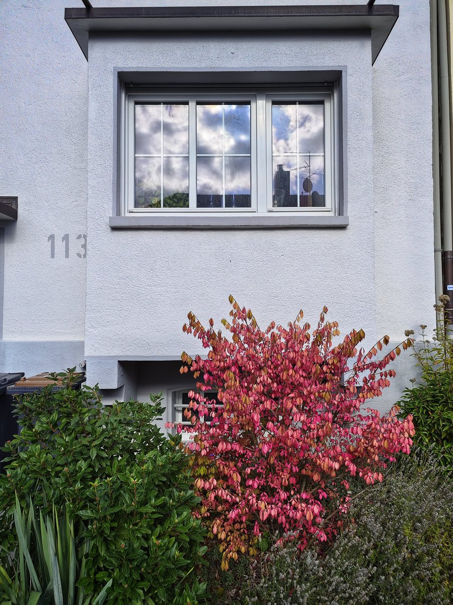 Es wird #Herbst in #Wuppertal 🌥️🍂