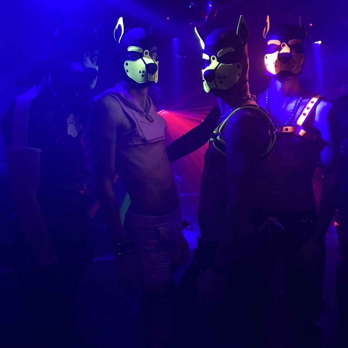Puppies wiggle in their natural environment. Clubbing looks more efficient than a walk 😉. With <a href="/is_yzo/">x_yzo</a>, <a href="/slk34000/">Sylvok</a>, <a href="/Robixx34/">Gay_kiffeur_34</a> and @Poxxy_34