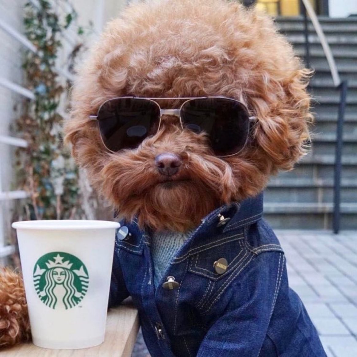 Super 70s Sports tweet media