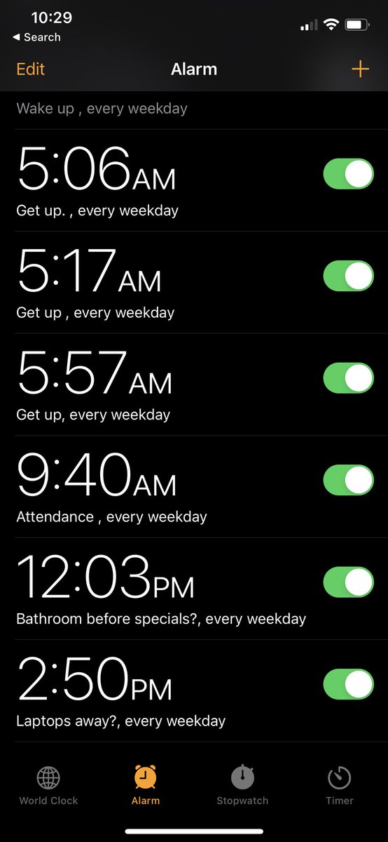 Dana Paz tweet media