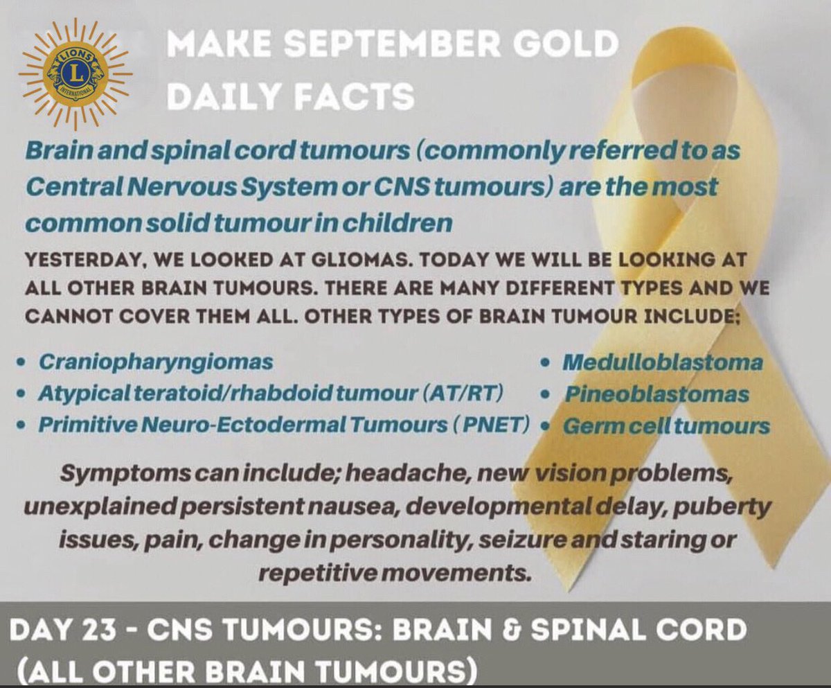 DowntownKgnLC's tweet photo. #makeseptembergold #gobold #gogold #ChildhoodCancerAwarenessMonth #DTKLions #weserve https://t.co/D2D4PCh22A