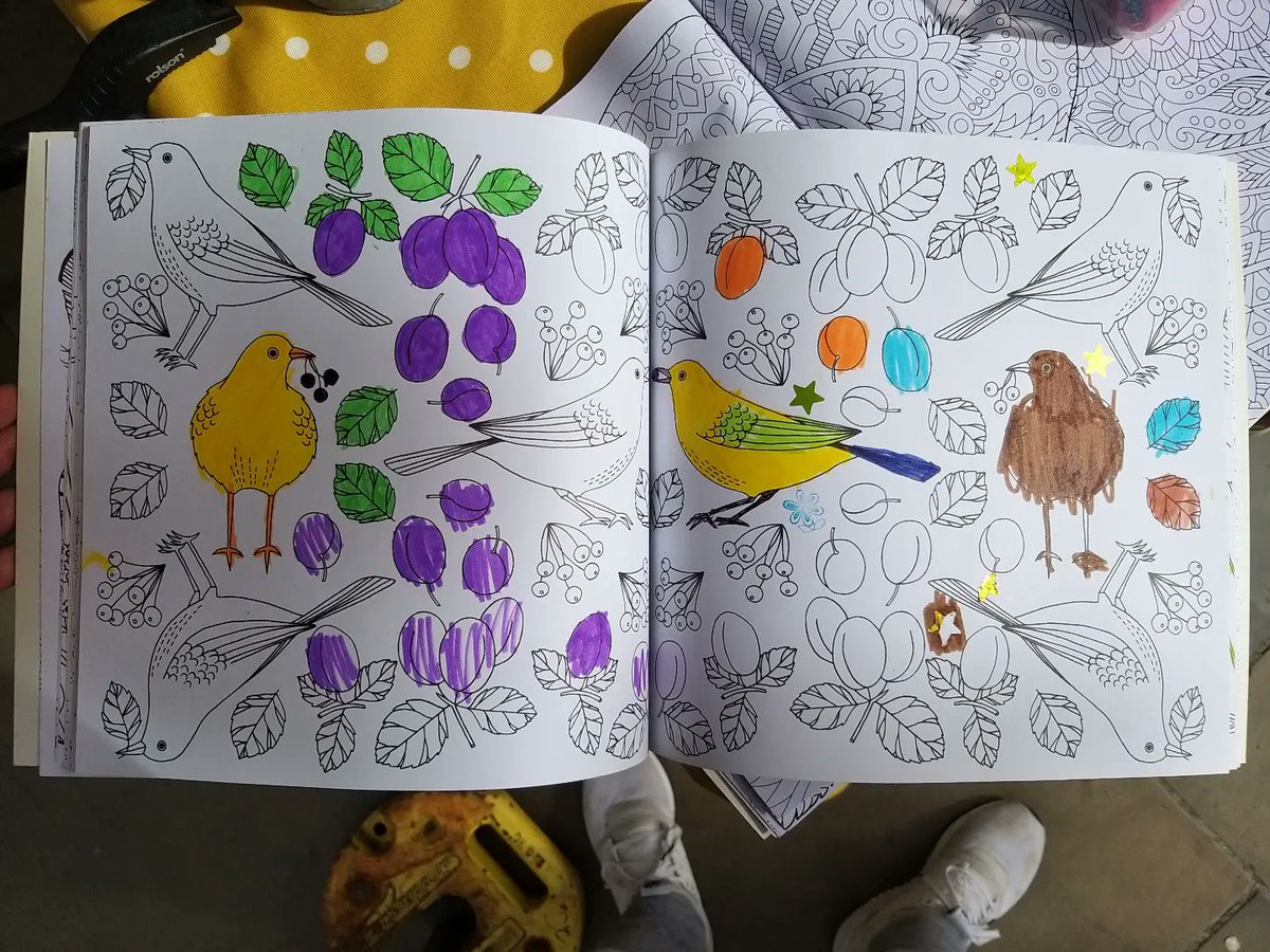 HHcommunitytent's tweet photo. Looking through our colouring books, great creativity from local kids 

#hernehill #se24 #southlondon #colouring #kidsart https://t.co/4WmBrdrVgf