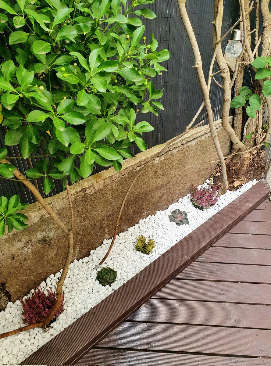 farfadine's tweet photo. L'embellissement de notre terrasse est terminé. Voici un avant/après. Vous aimez ? 🤓 #décoration #jardinage #HomeSweetHome https://t.co/W4a51CNFBZ
