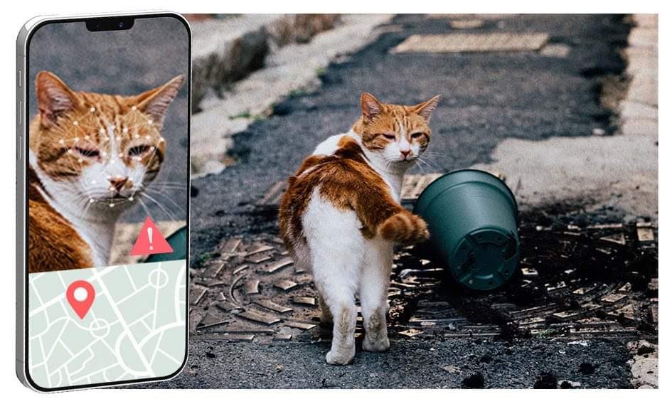 AnimalNationTK's tweet image. There is nothing sadder in the world than losing your little pet ☹️

With our #FindtoEarn features you can instantly alert people in the area that your #animal is missing with a description 🐈‍⬛

The heroes of the day will be rewarded with #ANTK 👌