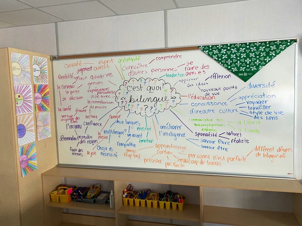De bonnes discussions en FSF4U la semaine dernière 💚🤍 Joyeuse journée des Franco-Ontariens et des Franco-Ontariennes!