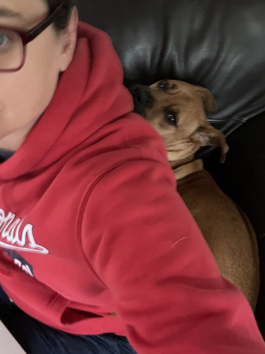 Hamilton tweet media