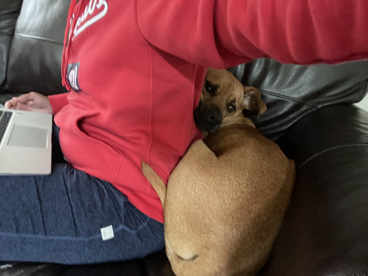 Hamilton tweet media