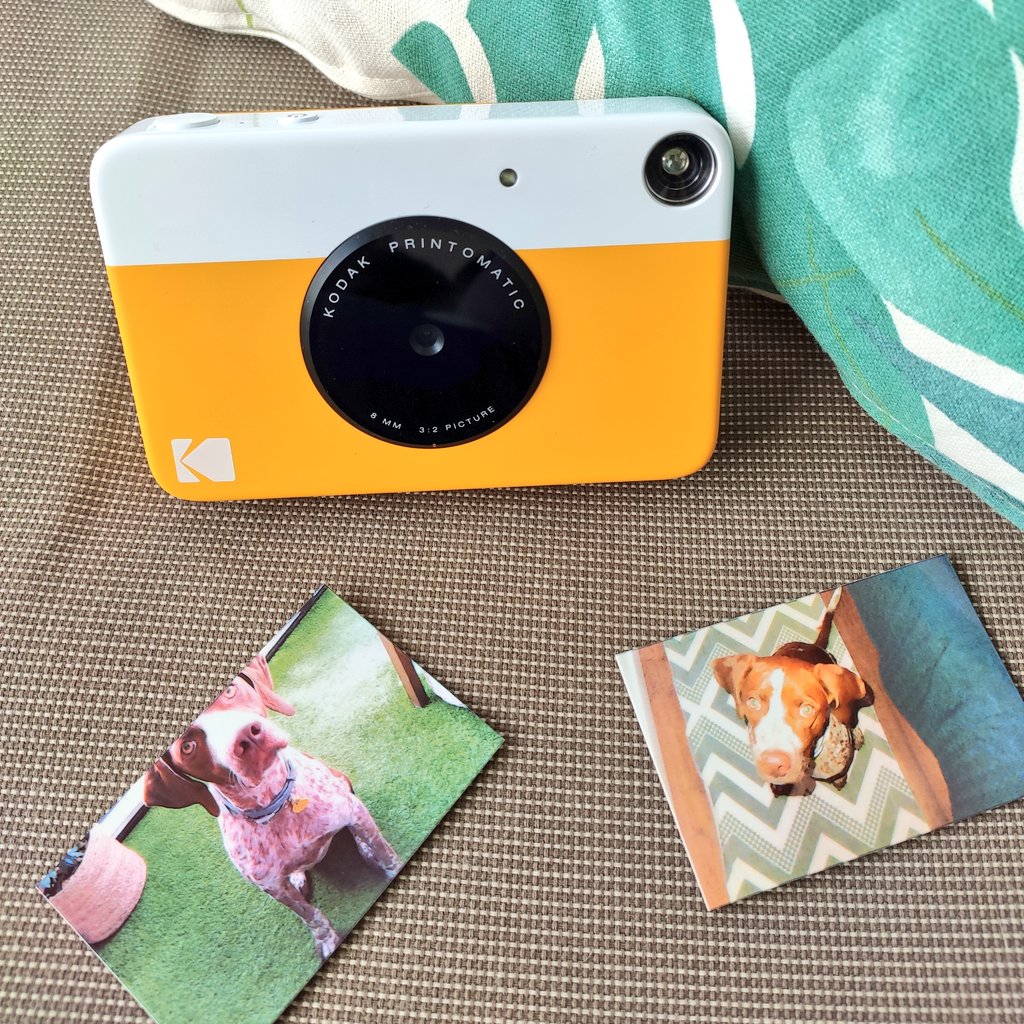 JuanAntonio_RR's tweet photo. Encantado con la @Kodak #Printomatic nueva #cámara para la colección
Unas fotos más que razonables, incluso con poca luz gracias a un flash más que digno y de imprimirlas en el clásico 2x3" (y en pegatina) dará seguro mucho juego
Además, las guarda en micro SD
📸 super redonda ☺️ https://t.co/Iis57E3v4S
