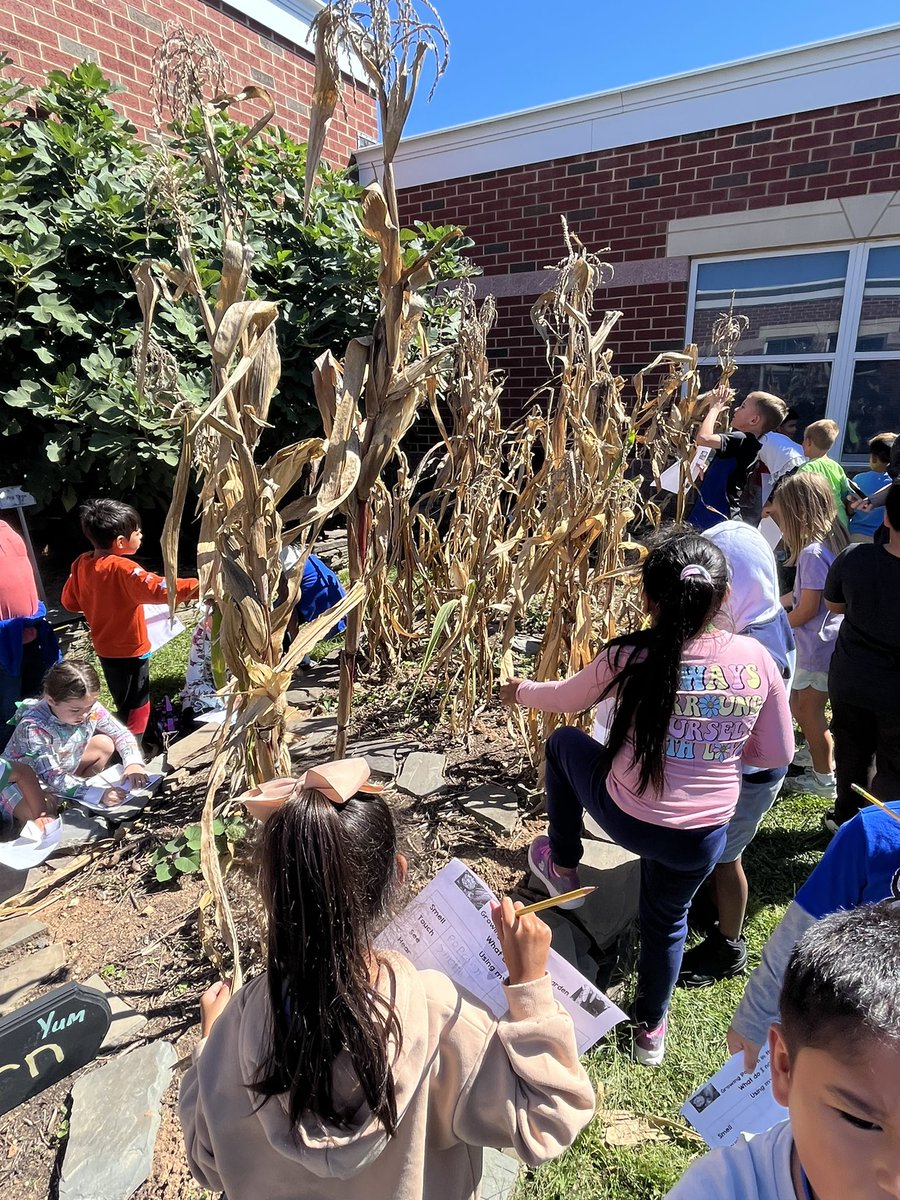 jennifer tweet media