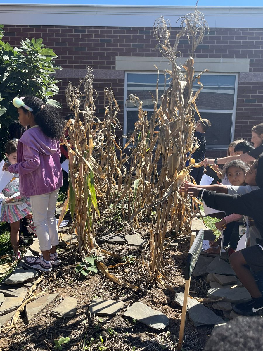 jennifer tweet media