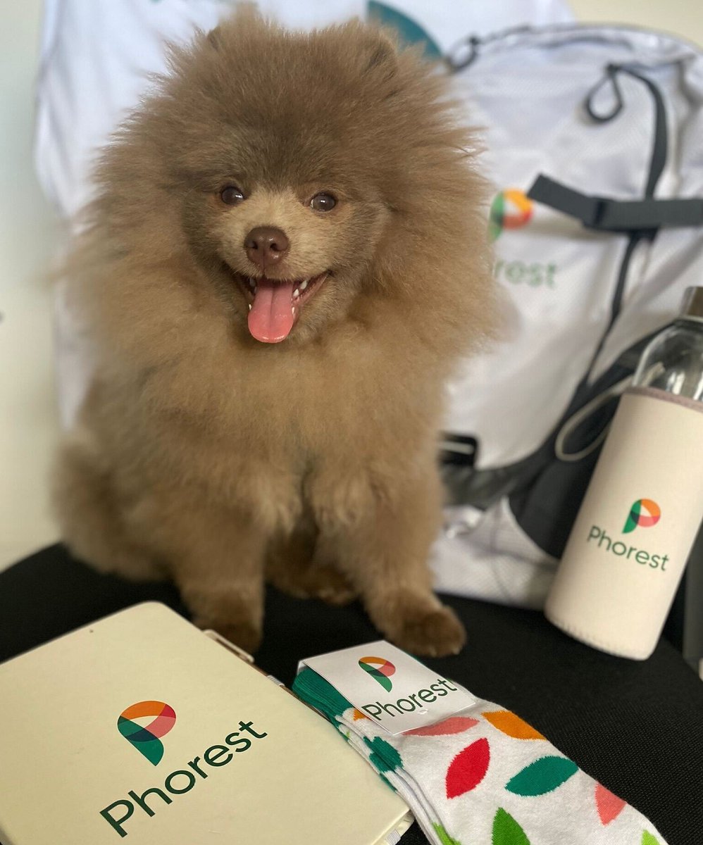 thephorestword's tweet photo. Ted is ready for the launch of Phorest’s first-ever Autumn Collection 🐶 
Dropping tomorrow 26.09.2022... ⏳🌱
Who's excited? 😉 

#PhorestSalonSoftware #TogetherWeGrow #YourSoftwareYourWay #PhorestAutumnCollection https://t.co/ZNilaFIDKm