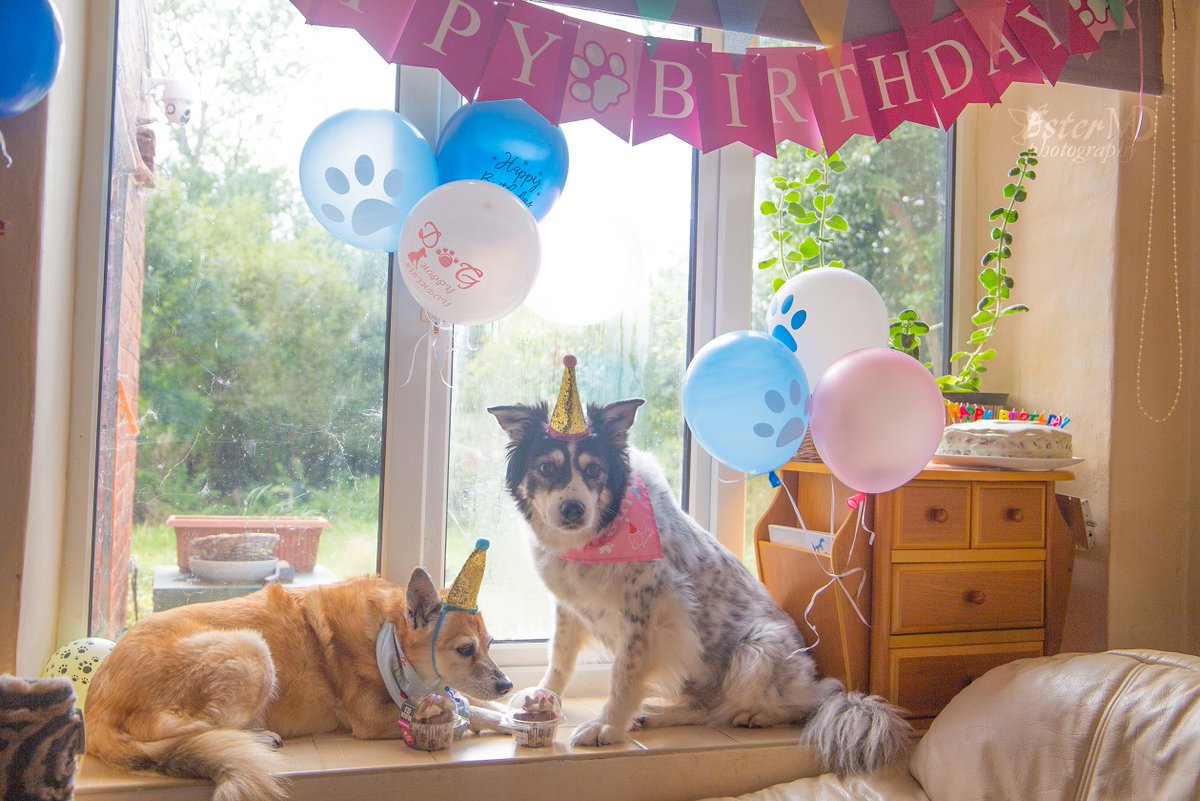 Ester Mira D. photography tweet media