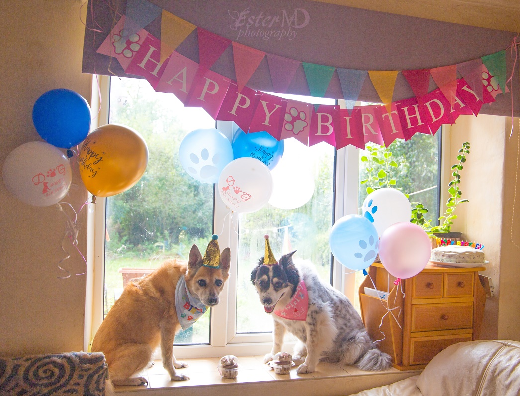 Ester Mira D. photography tweet media