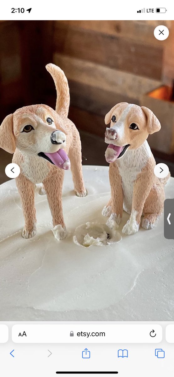 AshleyPagan90's tweet photo. I just ordered these for a wedding cake and it’s a custom order. This cake is perfect!!! I can’t wait to make this gorgeous cake including their dogs 🤍🙂 #dogfamily My daughter keeps asking for one so we shall see ha https://t.co/8V1ynJpnaE