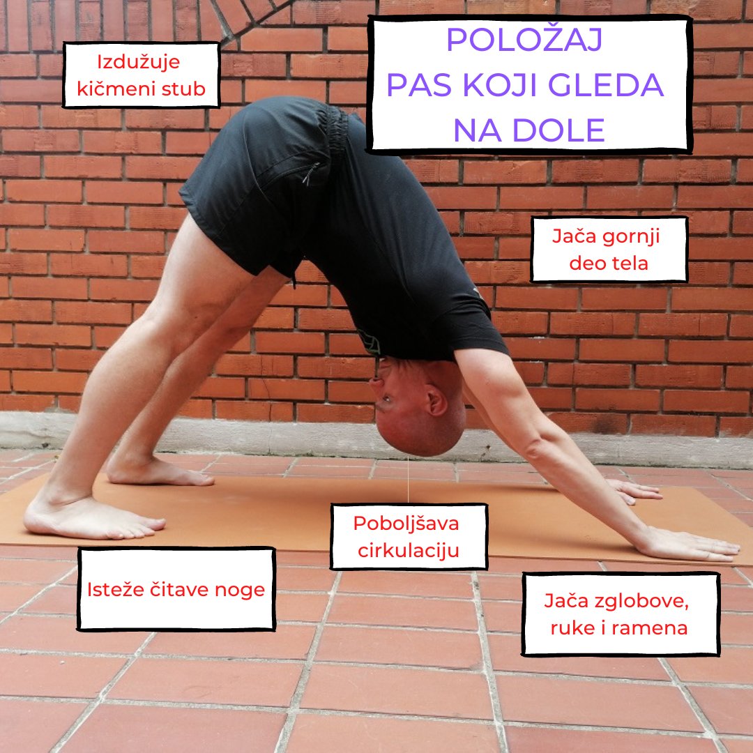 Pas koji gleda na dole je na prvi pogled položaj lak za izvesti, MEĐUTIM..

Da, uvek postoji to MEĐUTIM...

Samo pokušaj da uđeš u položaj i videćeš gde ti telo ,,škripi".

Voleo bih da mi napišeš ispod koji je tvoj trenutni izazov da bi ušao/la u potpuni položaj. 😊
⁣