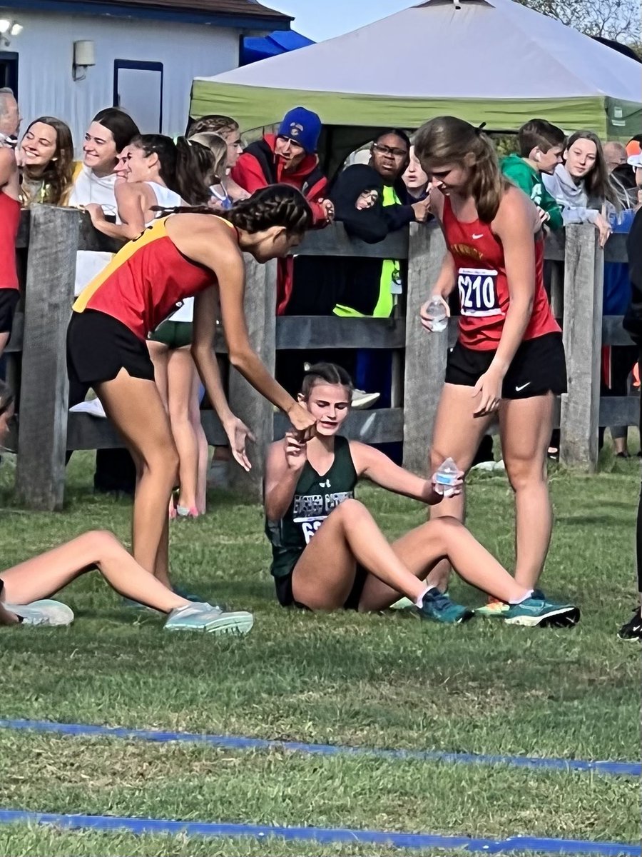 Sarah Tanis tweet media