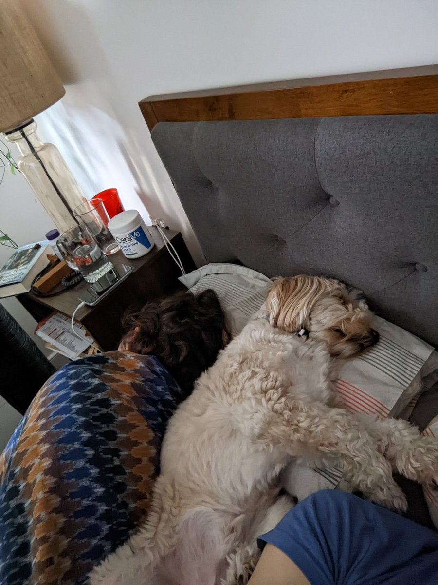 Dogs who think they're people 🐶❤️