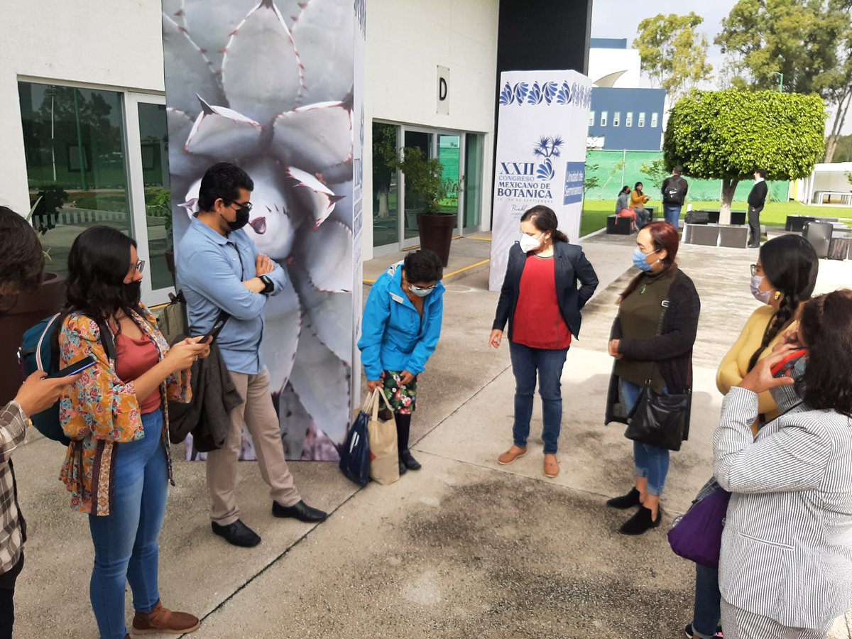 SocBotMex's tweet photo. Parte del consejo directivo de la #SocBotMex #XXIIBotanica22 https://t.co/hCS2ToeWpd