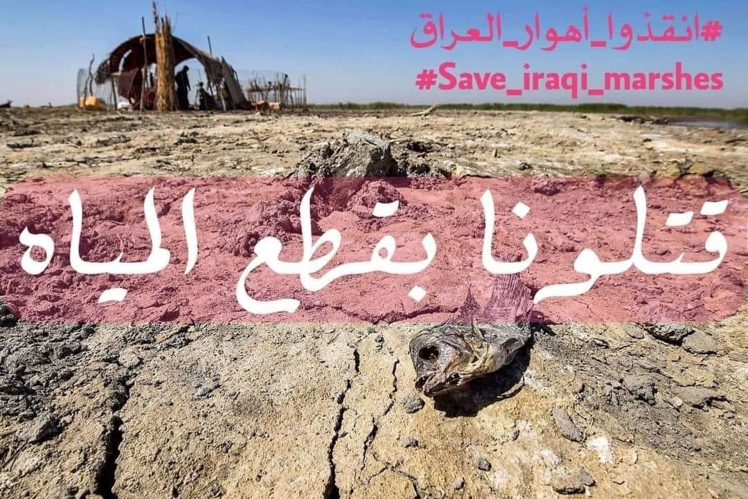 AAlseedy's tweet photo. #انقذوا_الاهوار https://t.co/sjW93Vbefw