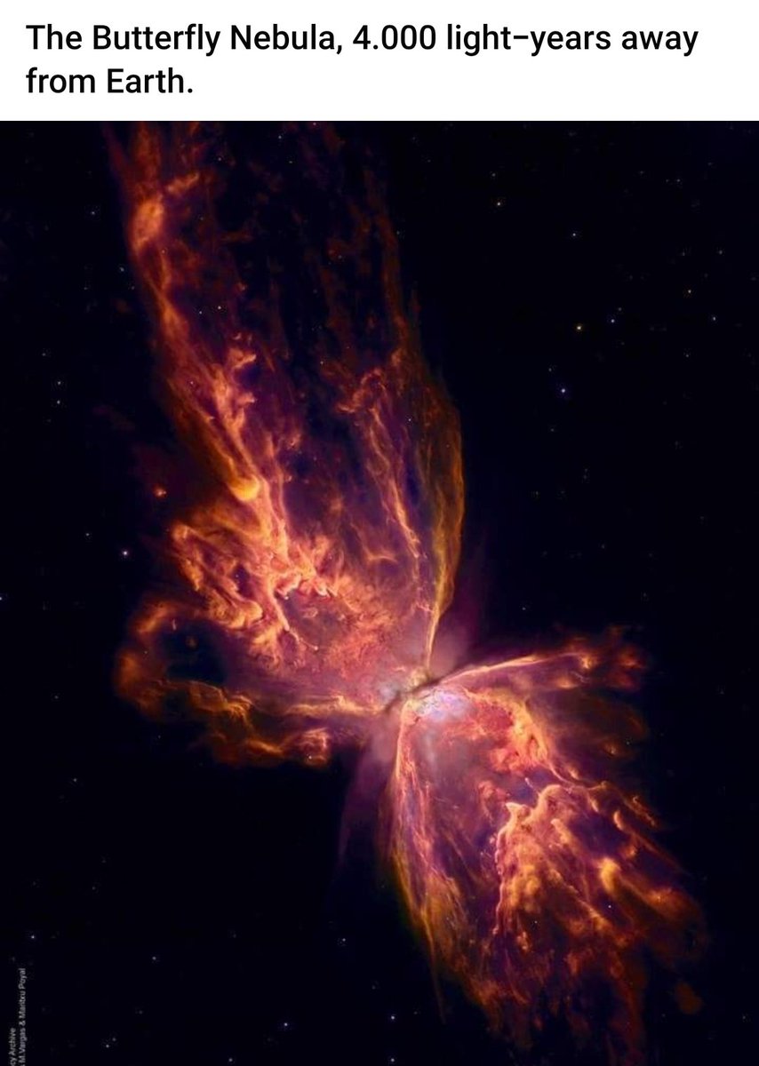 Denise Schmidt (@schmidtscience) on Twitter photo 