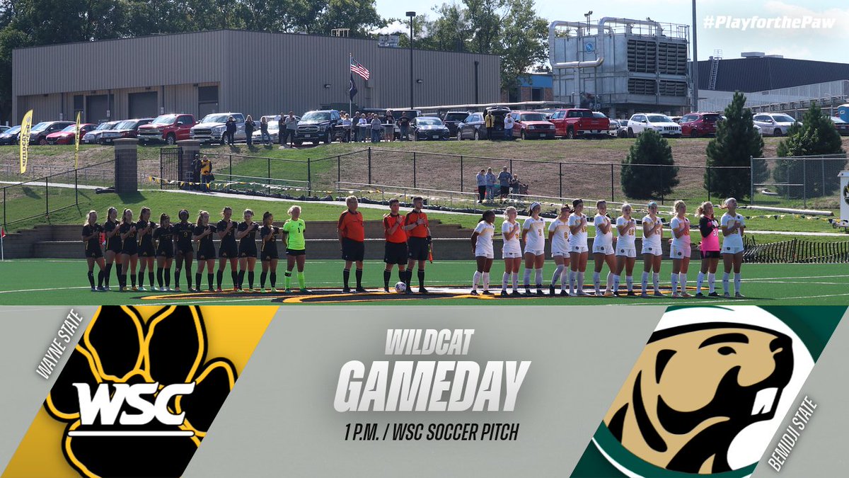 wscwildcats's tweet photo. WILDCAT GAMEDAY - @WayneStSoccer hosts Bemidji State this afternoon at 1 p.m. on the WSC Soccer Pitch. https://t.co/i4jhKSGyWR