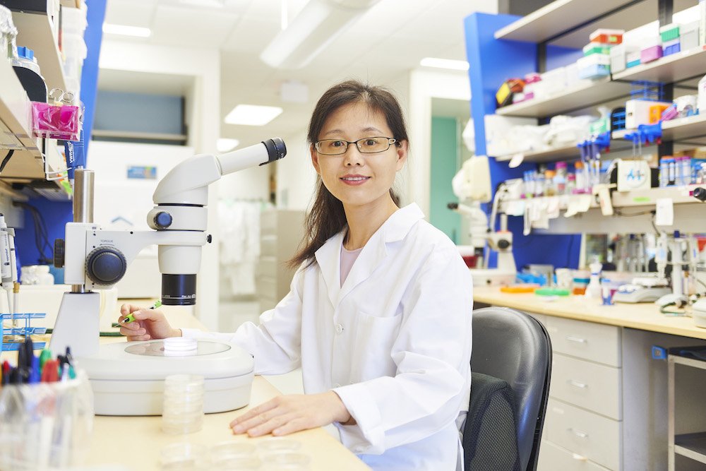 Meng Wang (@mengwang939) first discovered the power of science to unlock the secrets of life in middle school. Today, Wang peers inside organisms & cells to reveal new insights about one of life’s biggest mysteries -- the fundamental mechanisms behind aging & longevity. (1/9)