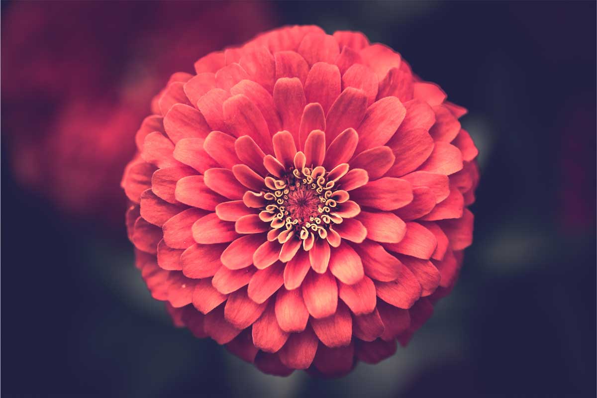 BabaRamDass's tweet photo. Ram Dass on Finding Your Center
Just center yourself in silence for a moment. Instead of waiting for something to happen, flip it just slightly and …
Read more: https://t.co/jjxBg42xWT
#ramdass #center #mindfulness #meditation #guided #awareness #findingyourcenter #love https://t.co/XAhmB5GP8r