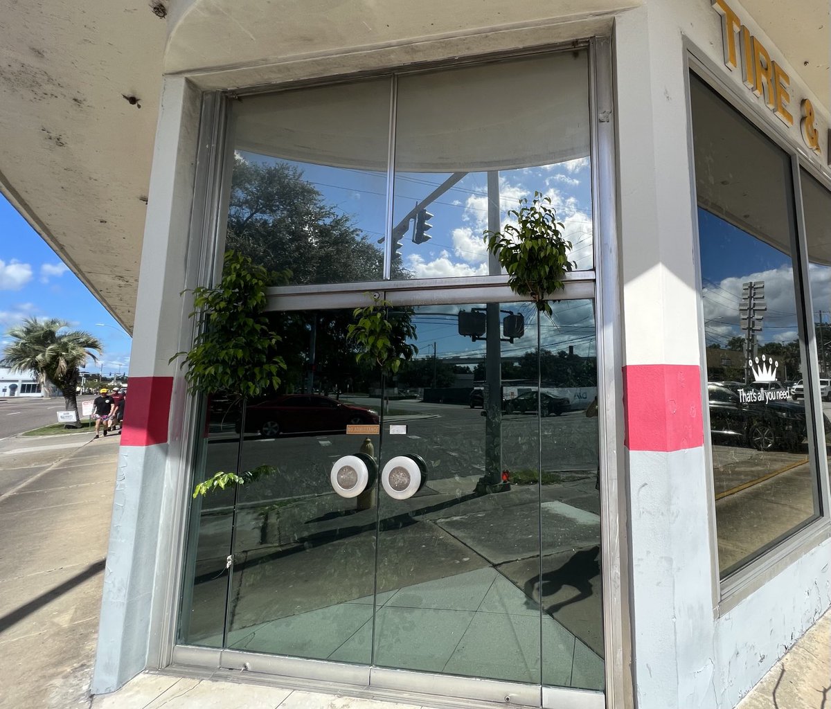 MyPlantDr's tweet photo. Funniest 🌱 I’ve seen. Look close.  🤔 Guess there’s no point waiting around for this store to open this morning.  But who keeps watering the Ficus benjamina (Weeping Fig)??? Saw driving in Jacksonville, FL. https://t.co/aEGN5oJW2M