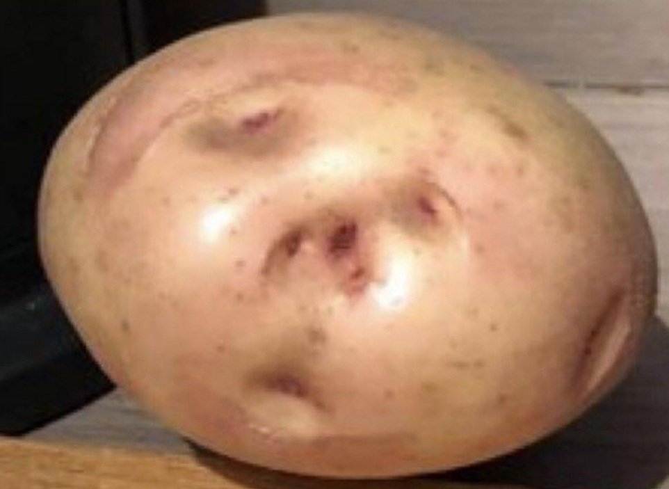 Bestbehavedbat's tweet image. #projectpotato
The wee forres, child starving, racist linesman has now morphed into a spud to back the 'no more tatties in scotland' yoon campaign!!🤣🤣