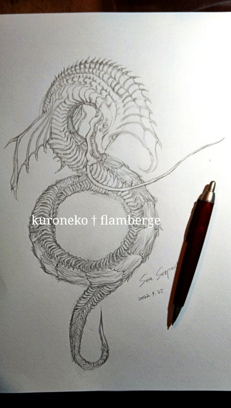 クラーケン描くつもりだったけど気が変わって()シーサーペントのイメージラフを描いてました。 
