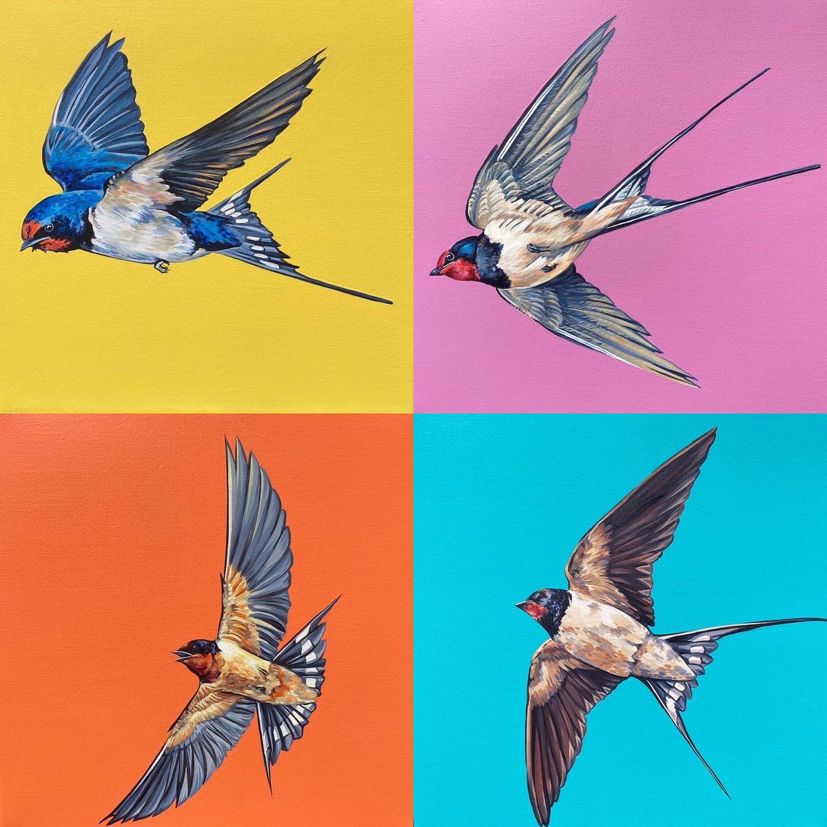 Love this little birds so much! Wanted to capture how they dart through the sky in these 4 small paintings. They’ll be coming with me to Art Source in the RDS, this Nov 11-13th #artsoucerds #orlamellonart