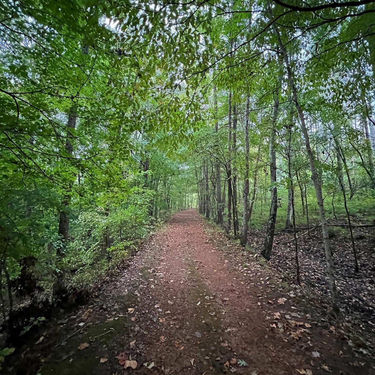 mac_cheeves's tweet photo. u can call me billy….but the hills come with me… 🤙🏻🏃🏻🐗🪵🍂🌅🇺🇸
🎶 #StephenWilsonJr #billy
@TristarAdventur #seenonmyrun #trailrunning #runtn #leavenotrace @yeti_runners #hillbillyviking https://t.co/jEZCdeRhBR
