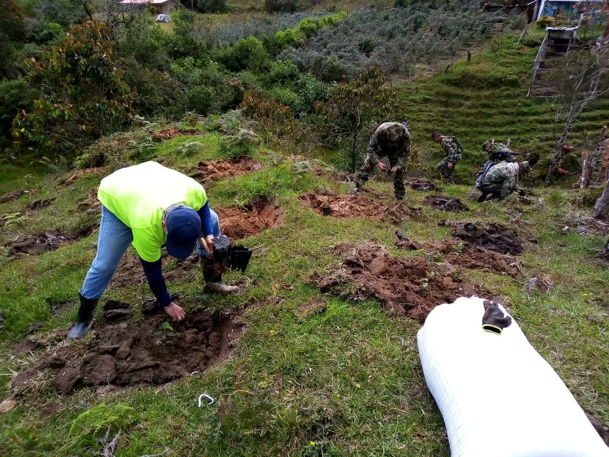 ConcepcionAnt's tweet photo. #MedioAmbiente Acciones que dan vida a nuestras futuras generaciones.🌳🌳🌳🌎🌎

Seguimos realizando la siembra de árboles 🌳🌳🌳 en varias zonas rurales de nuestra localidad. #ConcepcionUnProyectodeTodos https://t.co/Vjij3UnX24