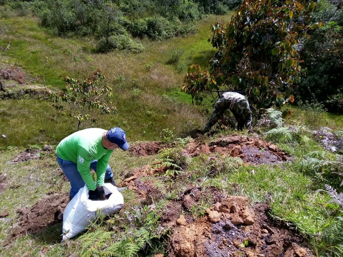 ConcepcionAnt's tweet photo. #MedioAmbiente Acciones que dan vida a nuestras futuras generaciones.🌳🌳🌳🌎🌎

Seguimos realizando la siembra de árboles 🌳🌳🌳 en varias zonas rurales de nuestra localidad. #ConcepcionUnProyectodeTodos https://t.co/Vjij3UnX24