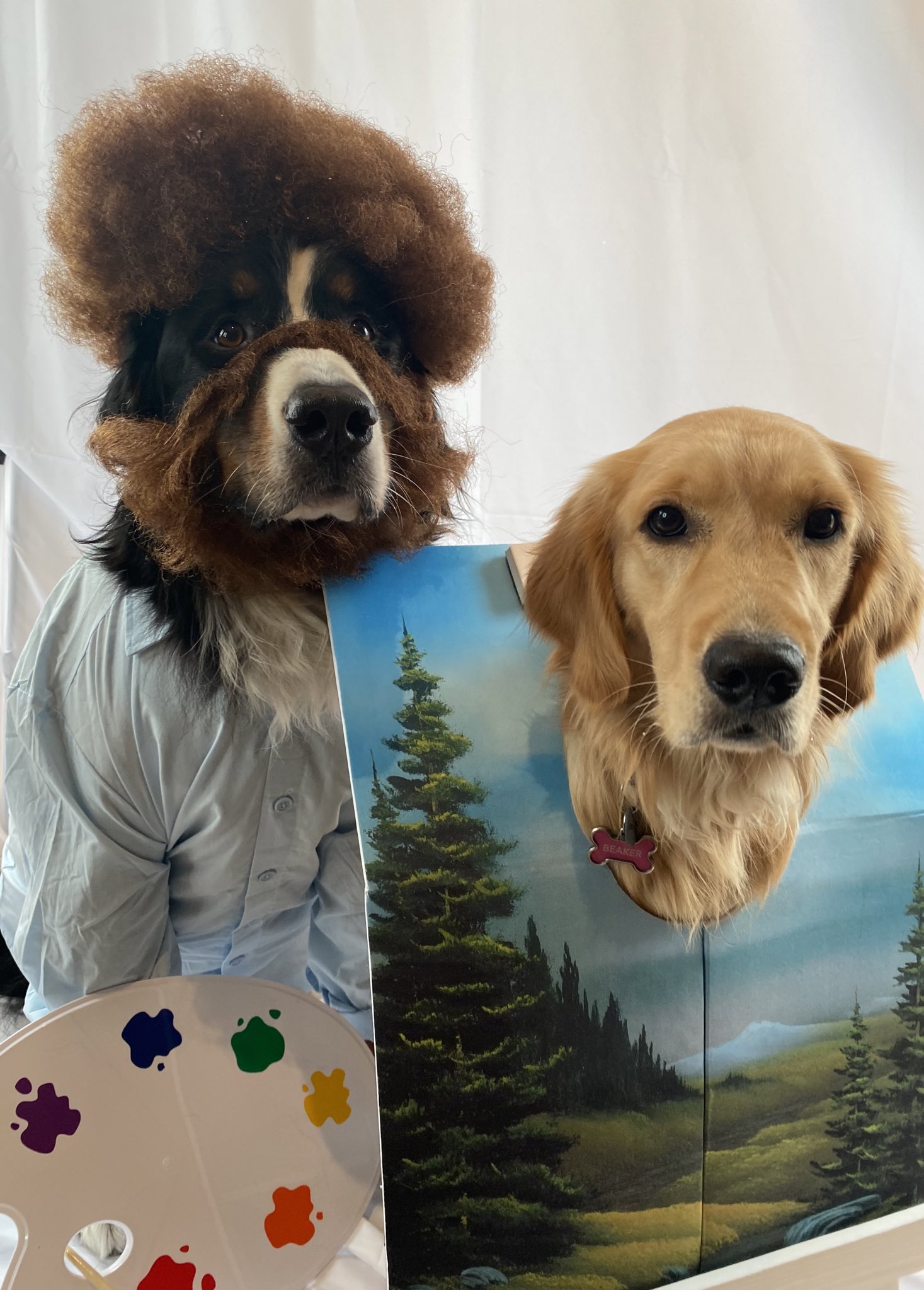 Bunsen BEAKER and Bernoulli on X Like I always say Everyone needs a friend Bob Ross Dog Ross https t F3k8sxMjxP X