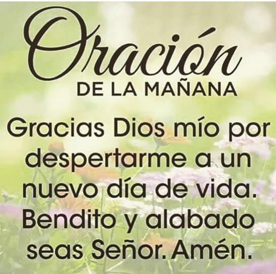 AriosYoliizz's tweet photo. Bendecido día para todos 🙏 https://t.co/pI8kc7YKrK