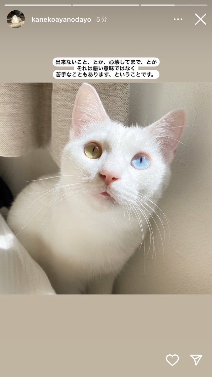 ClSally's tweet photo. 次からは「自分の苦手」をちゃんと分かって、苦手なことをしたら自分がどうなるかを理解して、振る舞いを決められるようになれれば良いよね…（ブーメラン） https://t.co/YuoW9lJs9x