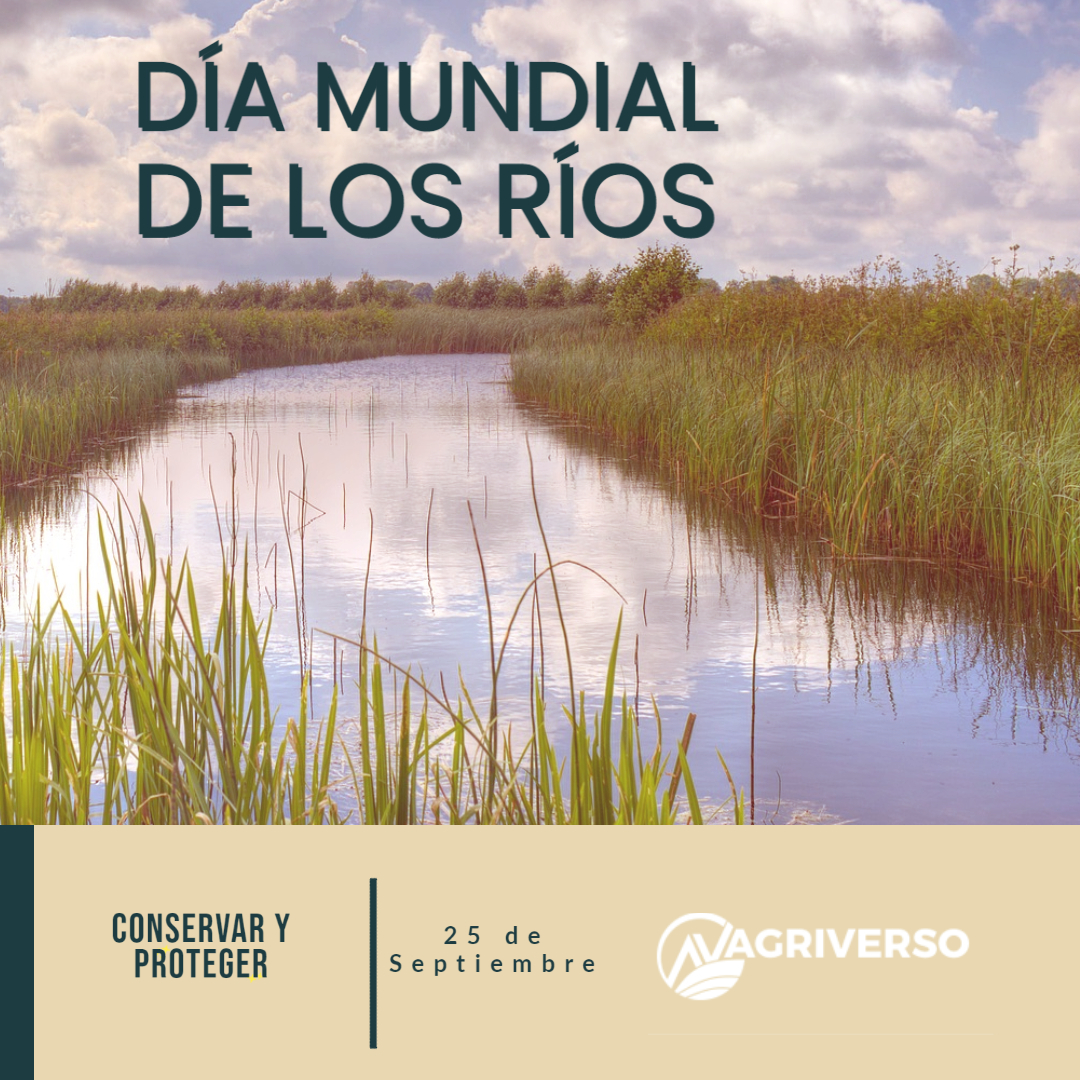 Hoy es El Dia Mundial de los Ríos. Conserva y protégelos!!
#WorldRiversDay #ComparteEnAgriverso