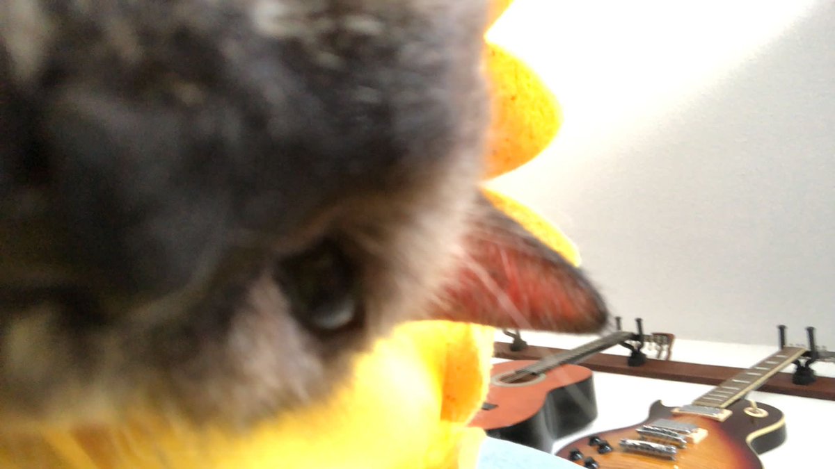 hat jemand maxi king gesagt?